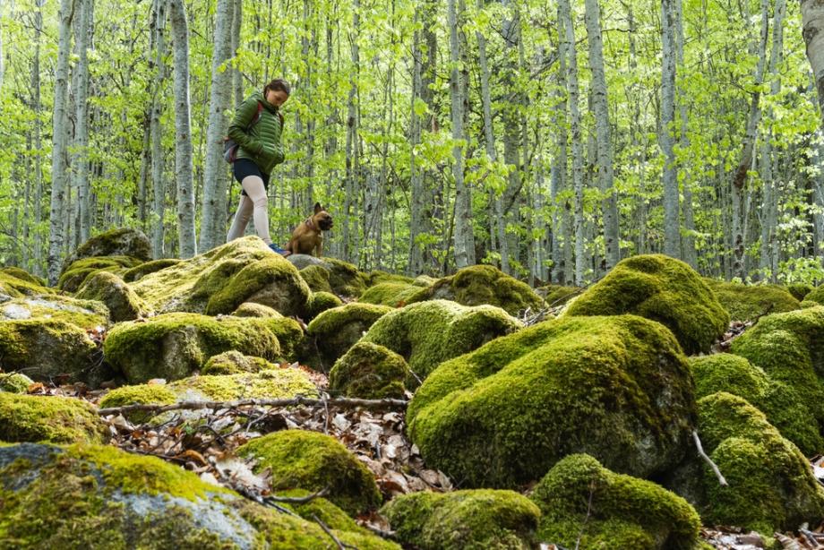 Тези неща ще излекуват разбитото ви сърце